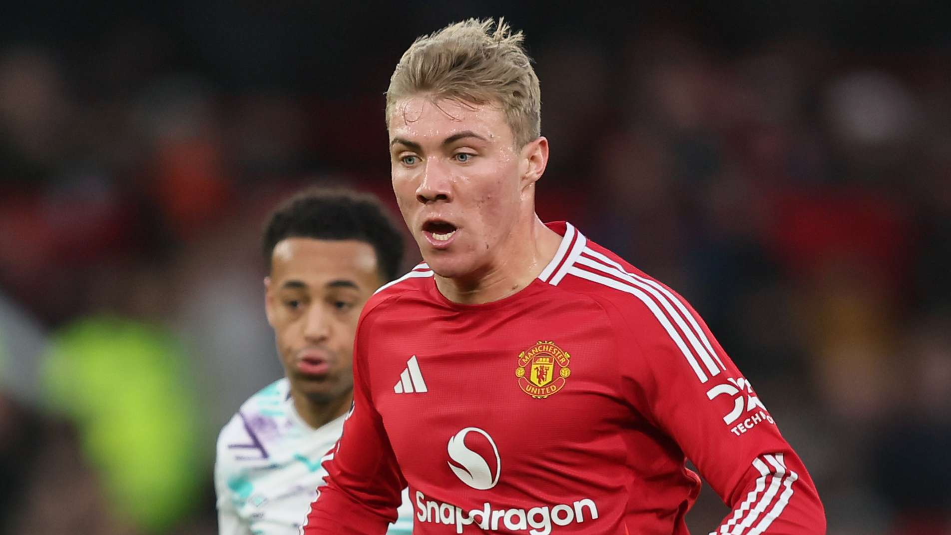 格林伍德的 格林伍德的